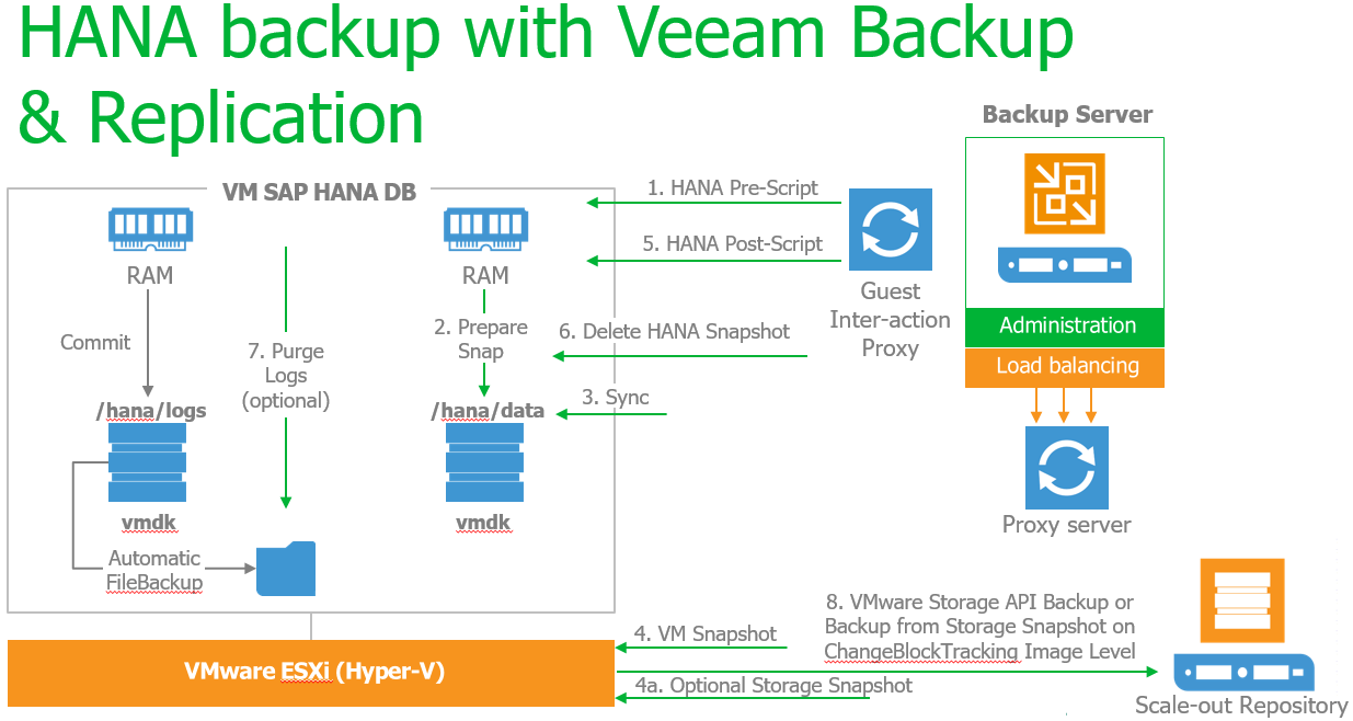 ../_images/HANA-BACKUP-VBR-SAP.png