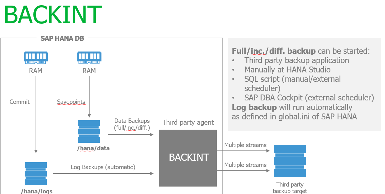 ../_images/SAP-BACKINT.png
