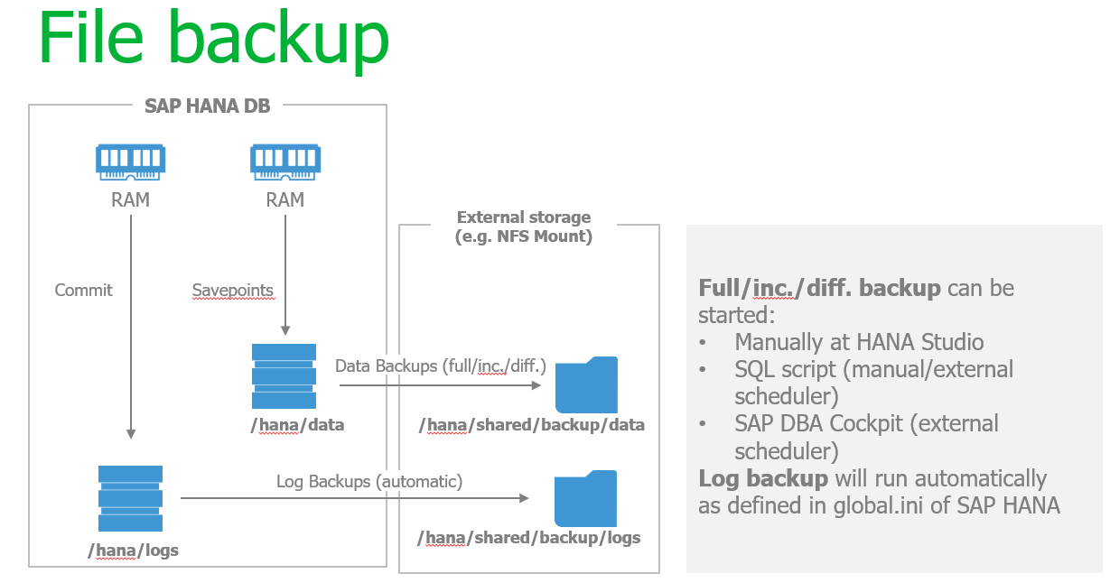 ../_images/SAP-File-Backup.png
